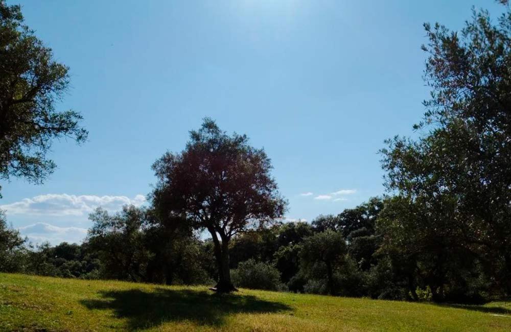 Cortijo Rural Flor De Cazalla Cazalla de la Sierra Ngoại thất bức ảnh