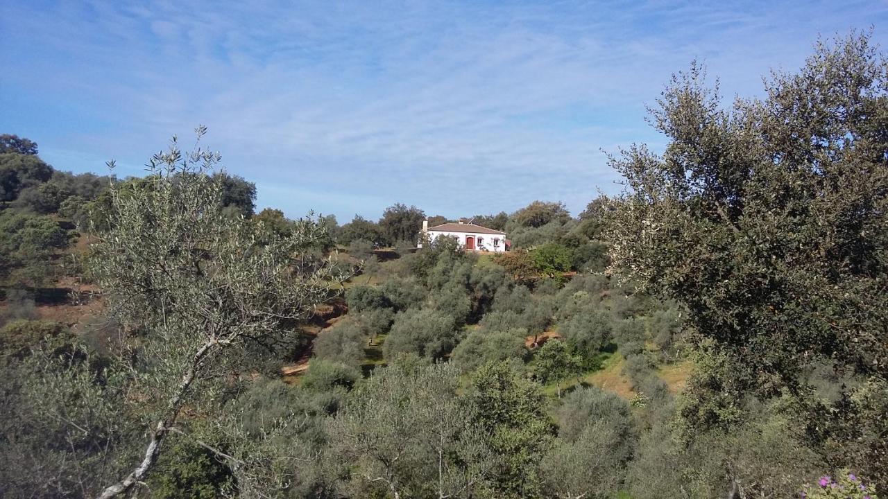 Cortijo Rural Flor De Cazalla Cazalla de la Sierra Ngoại thất bức ảnh